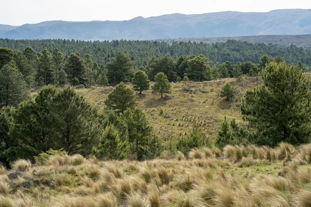單方面離婚可接受的五種法定理由