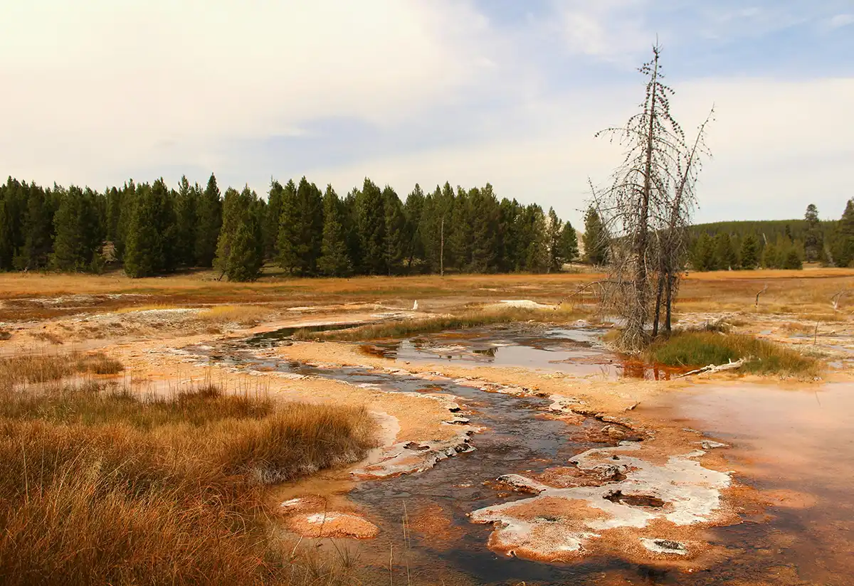 單方面離婚的費用