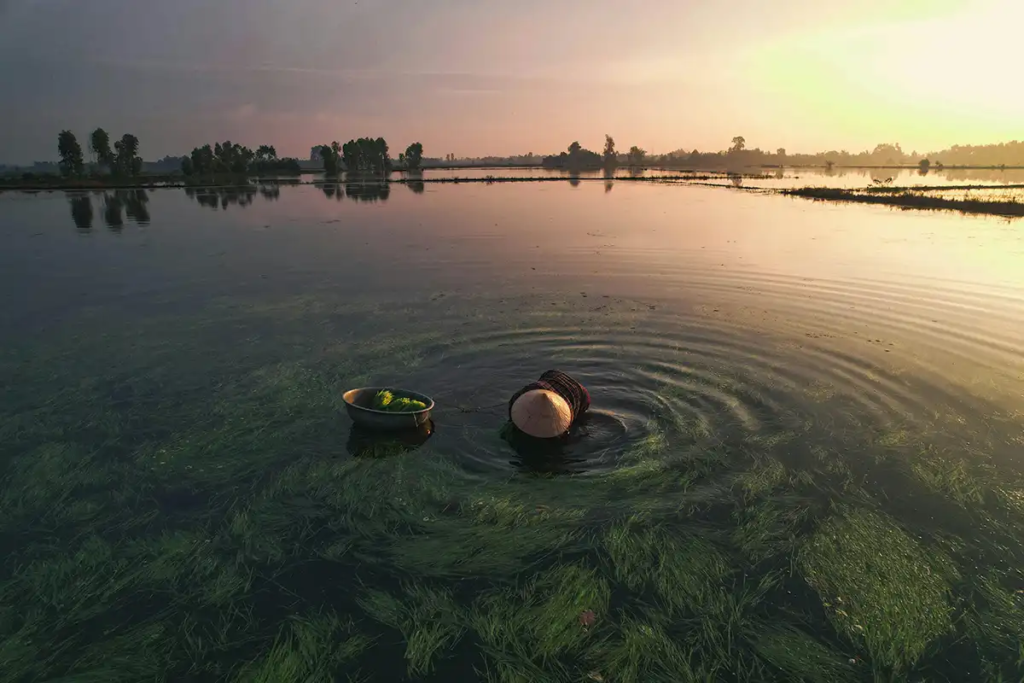 香港單方面離婚遇到對方惡意拖延怎樣處理？