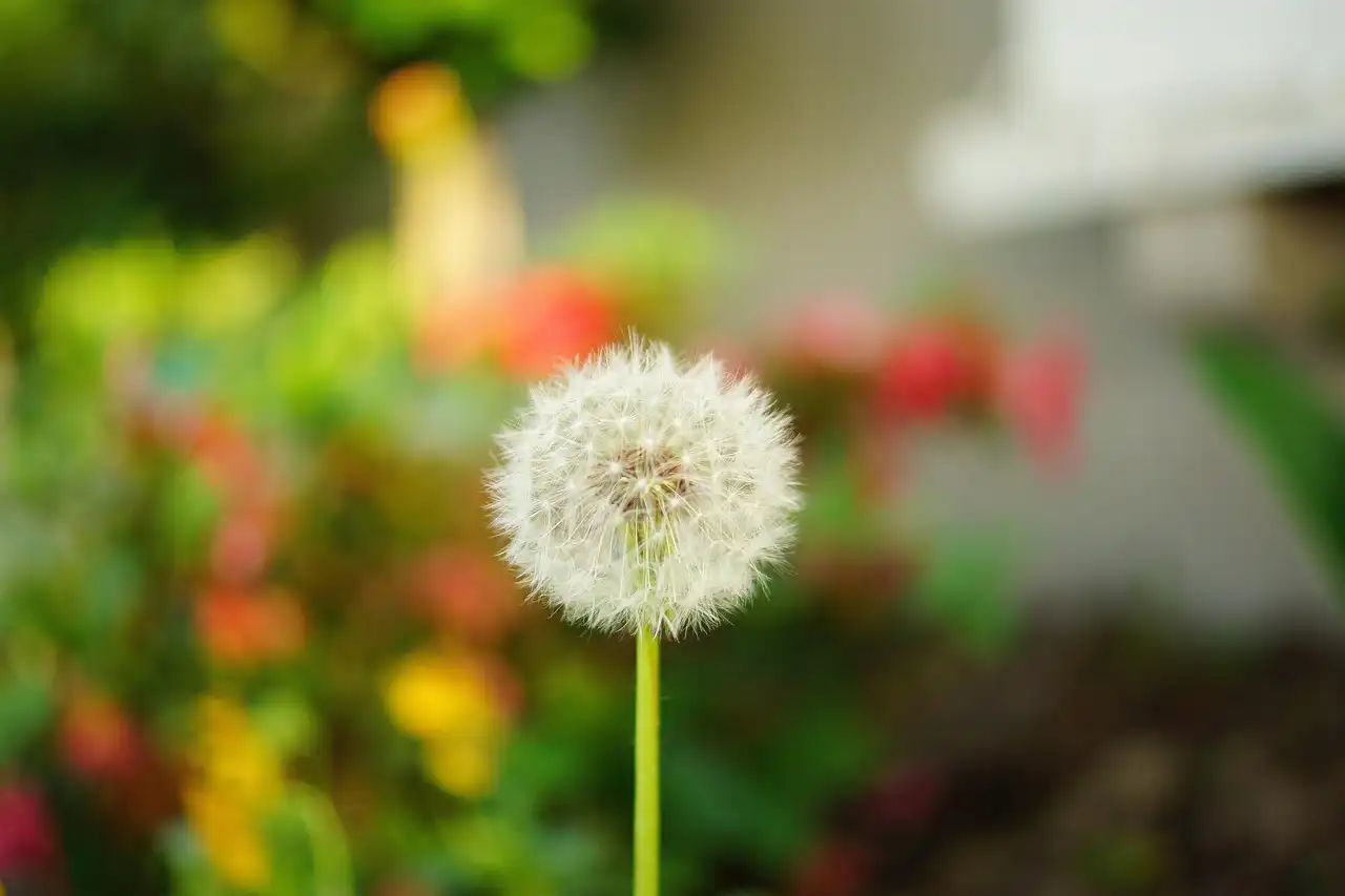 中港單方面離婚流程詳解